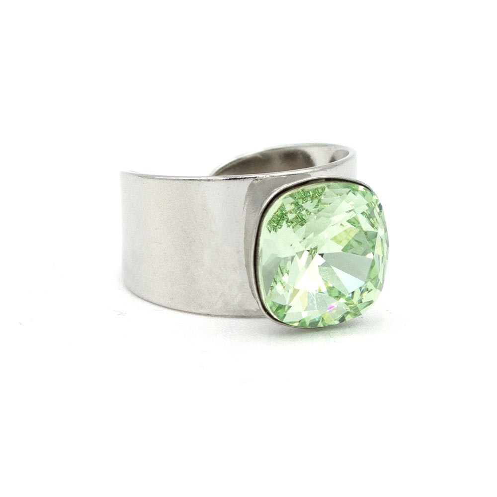 Basics Ring 01
