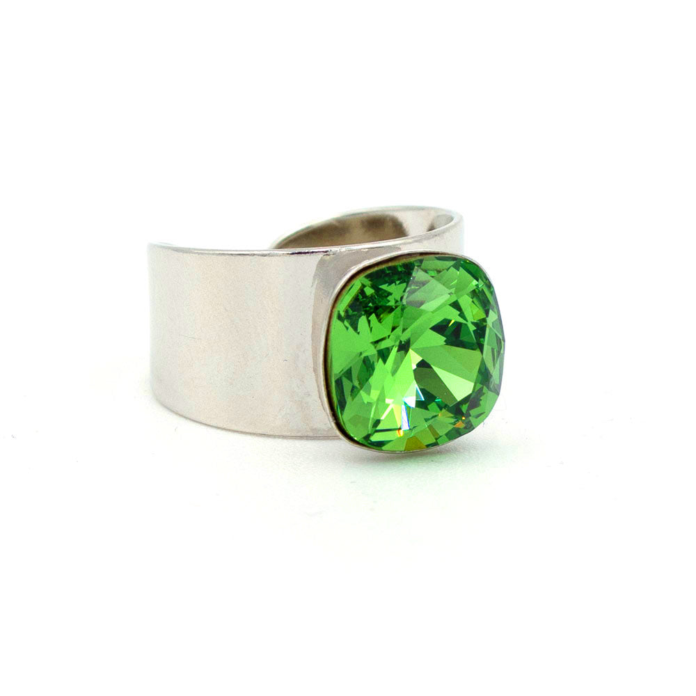 Basics Ring 01