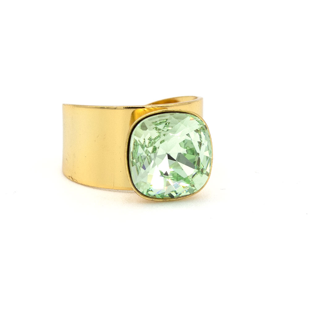 Basics Ring 01