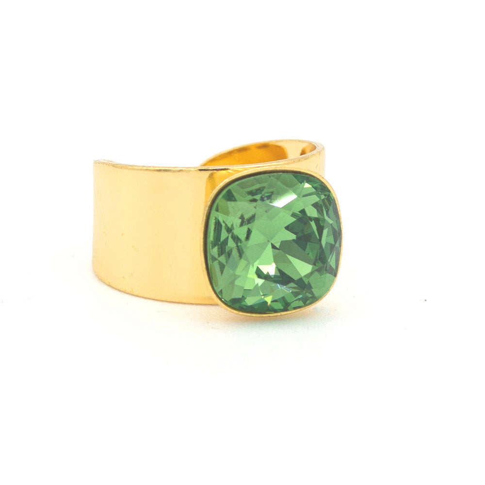 Basics Ring 01