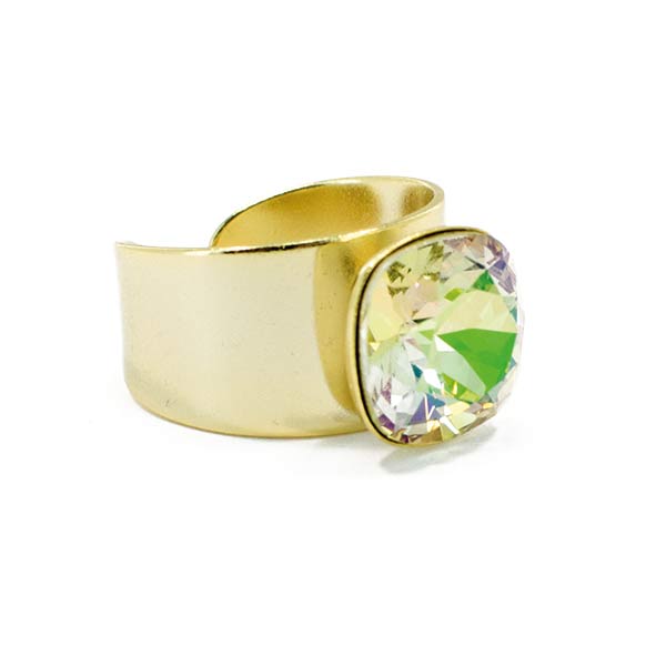 Basics Ring 01