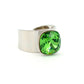 Basics Ring 01