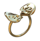 Cacco Clam Ring
