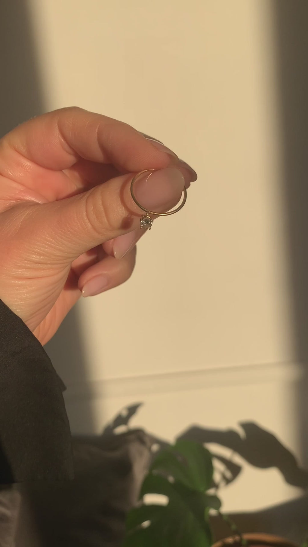 Ring Andy
