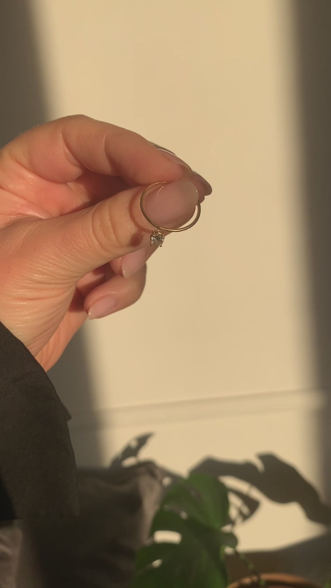 Ring Andy